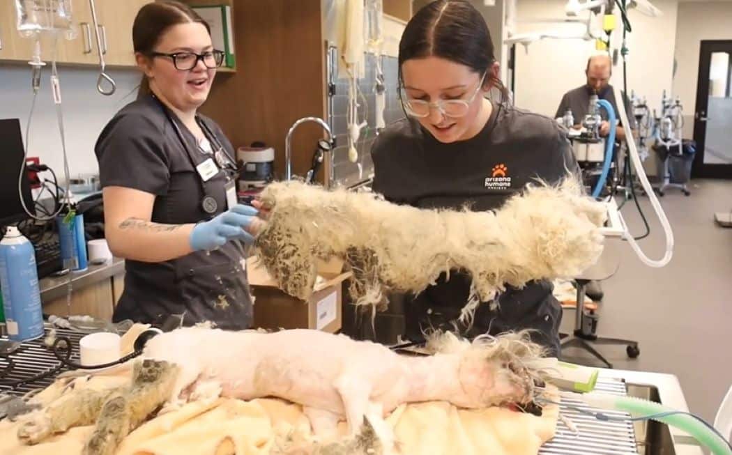 Extra image from article