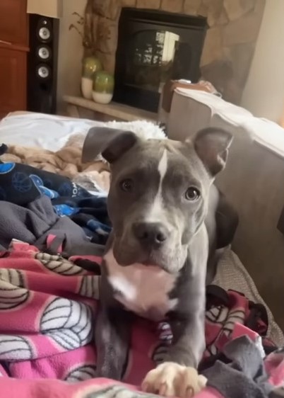 Extra image from article