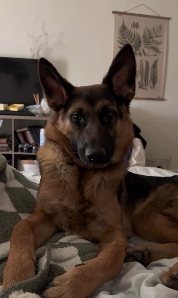 Extra image from article