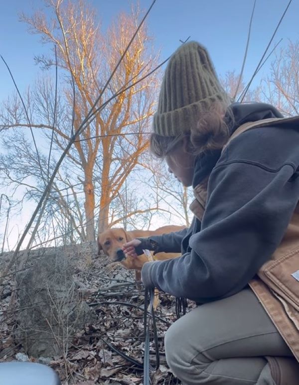 Extra image from article