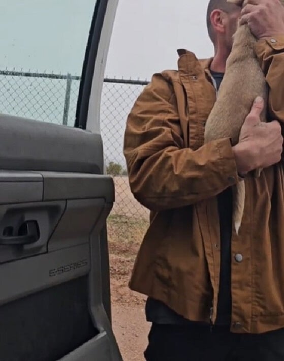 Extra image from article