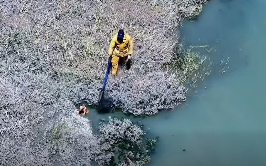 Extra image from article