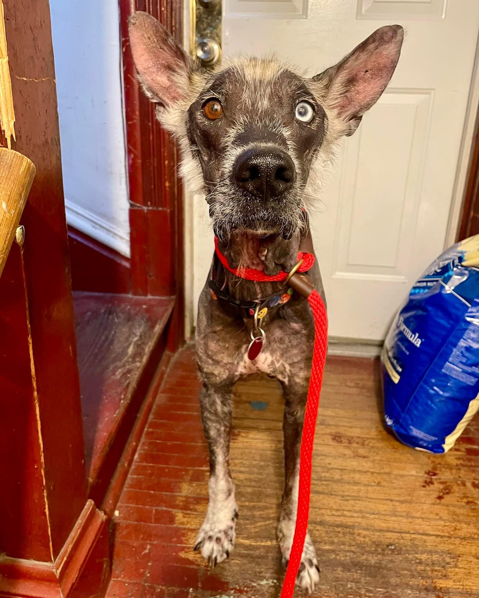 Extra image from article