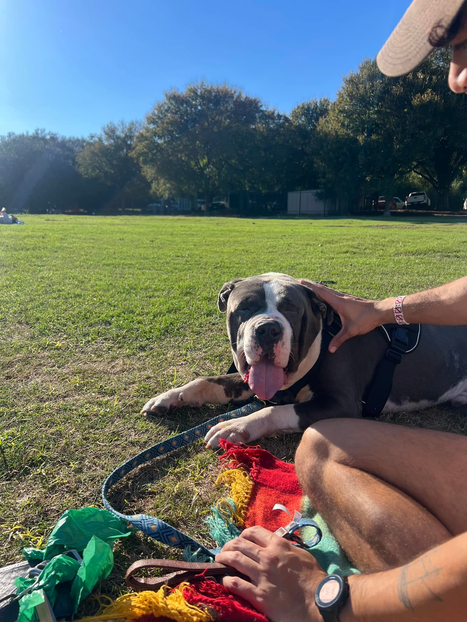 Extra image from article