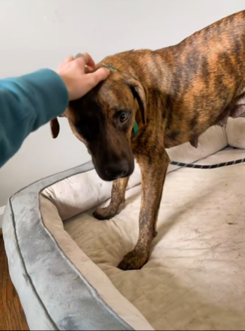 After two months of continual care, pati...