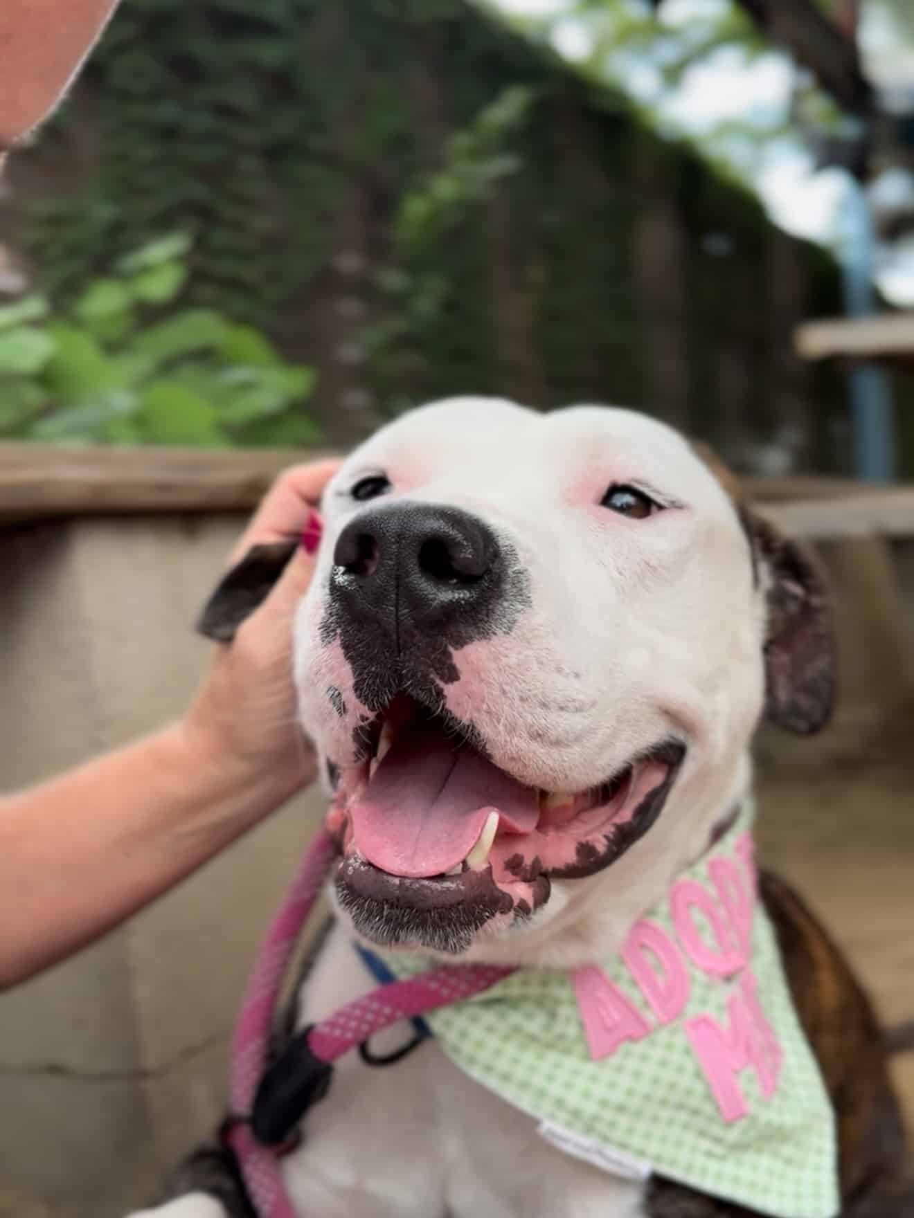 Extra image from article