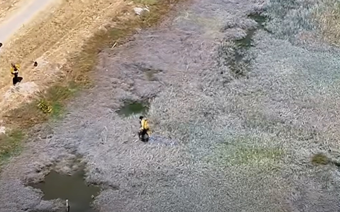 Extra image from article