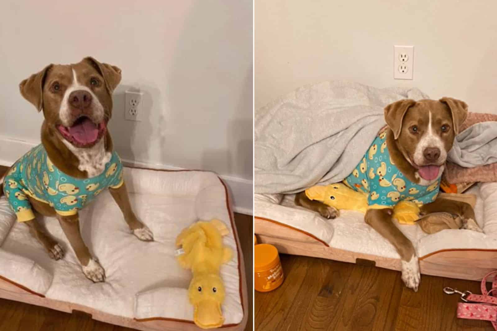 Extra image from article