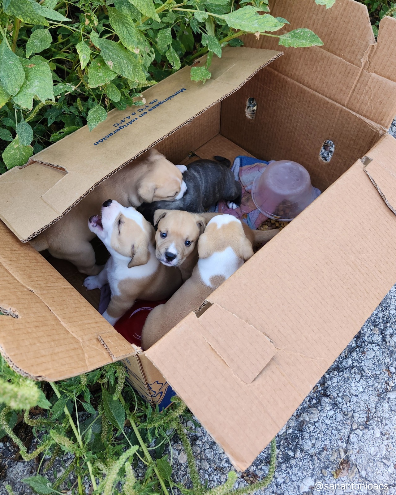 Extra image from article