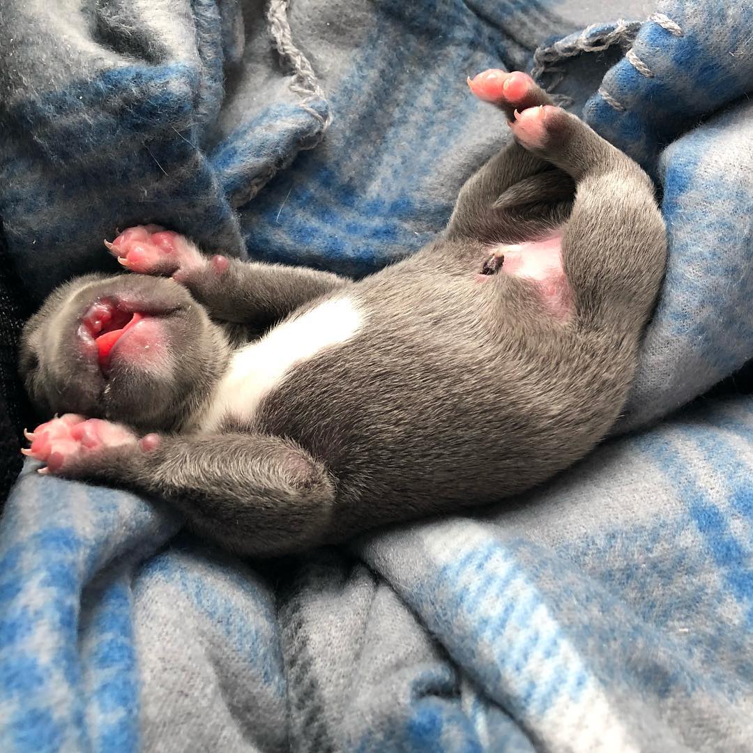 Extra image from article