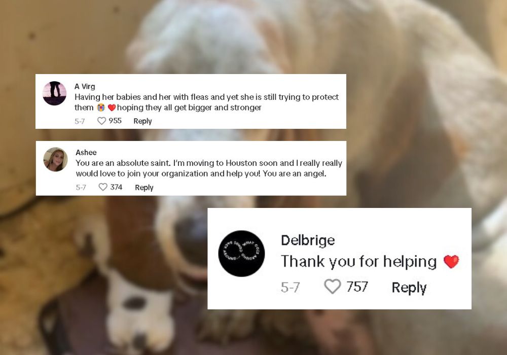 Extra image from article