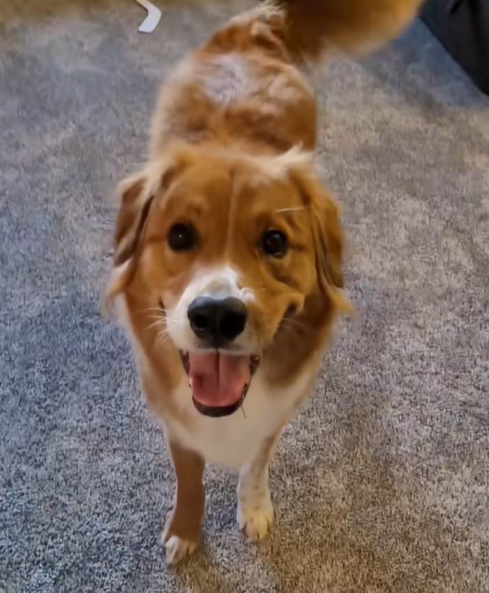 Extra image from article