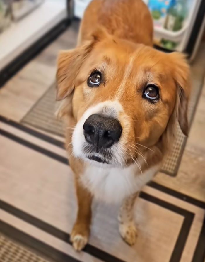 In the end, this story celebrates the jo...