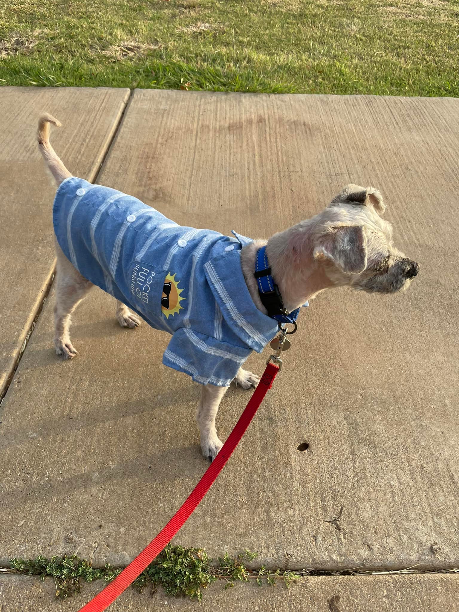 Extra image from article