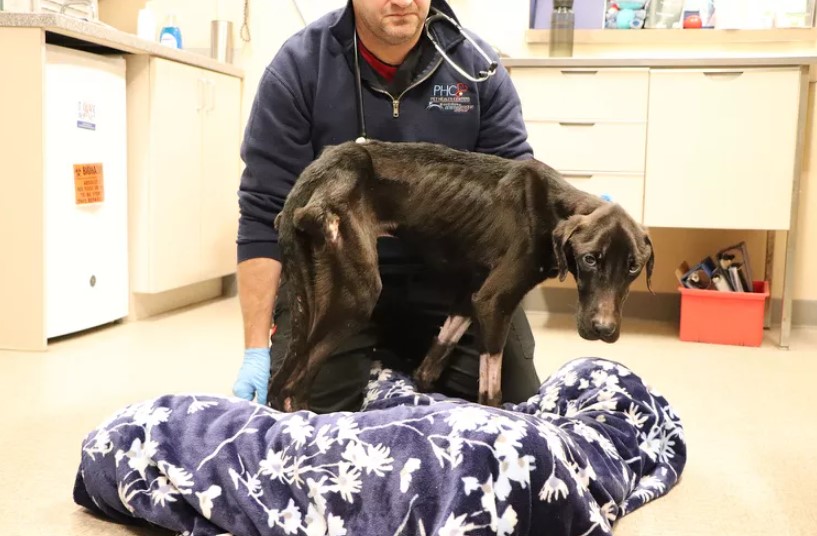 Touched by Seamus's enduring spirit, Mer...