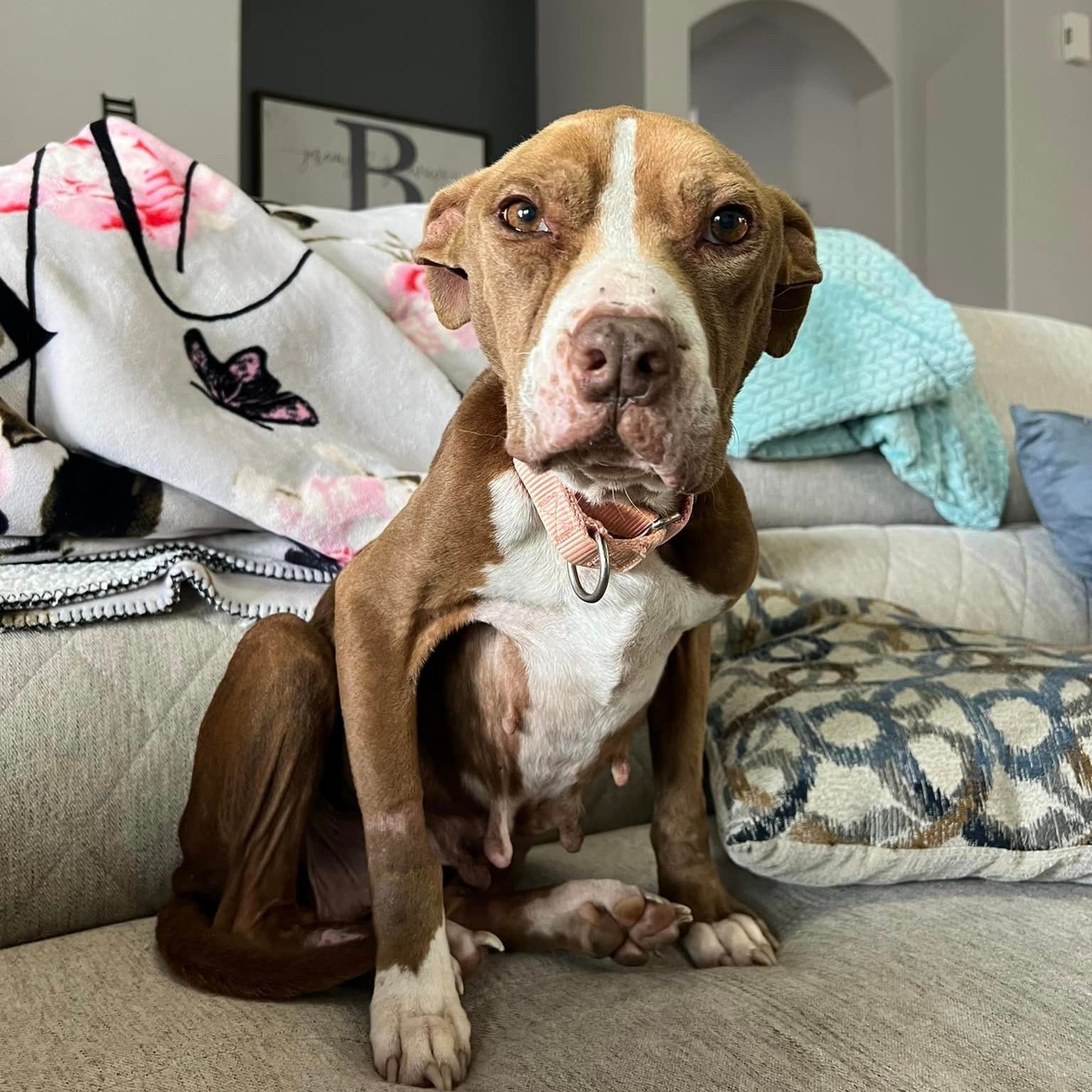 Extra image from article