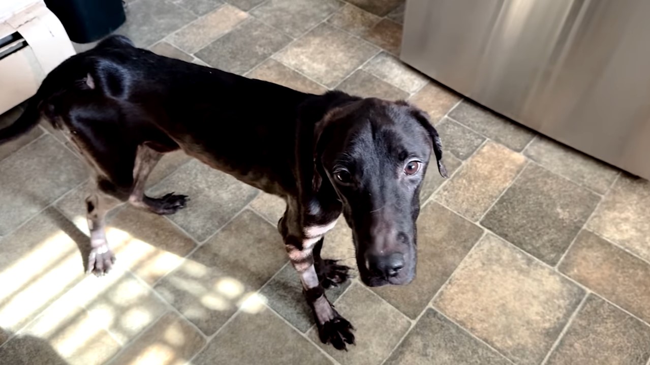 Extra image from article