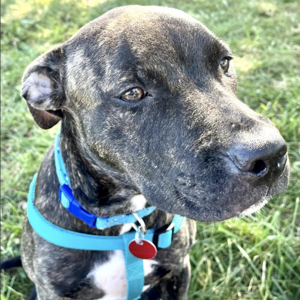 Extra image from article