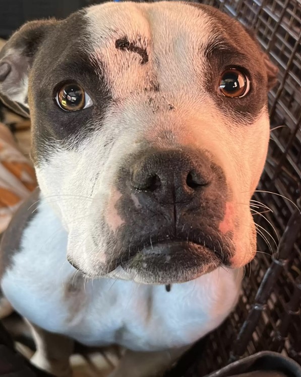 Unfortunately, when Donna returned later...