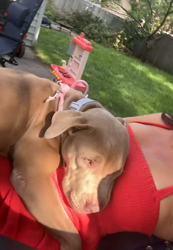 When Heather posted Bella Star’s story o...