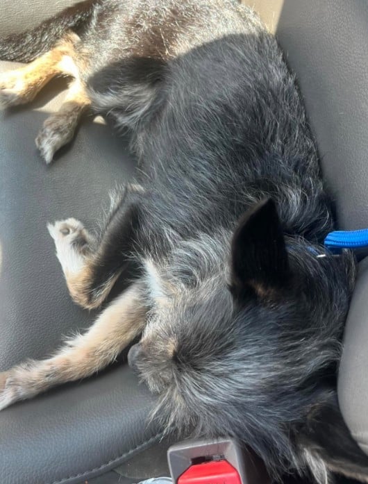 Extra image from article