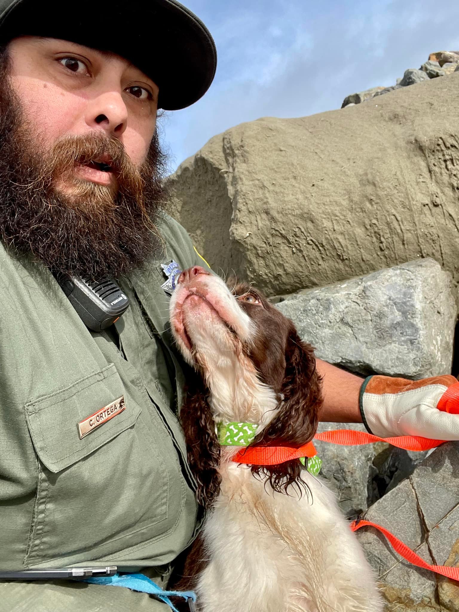 Extra image from article