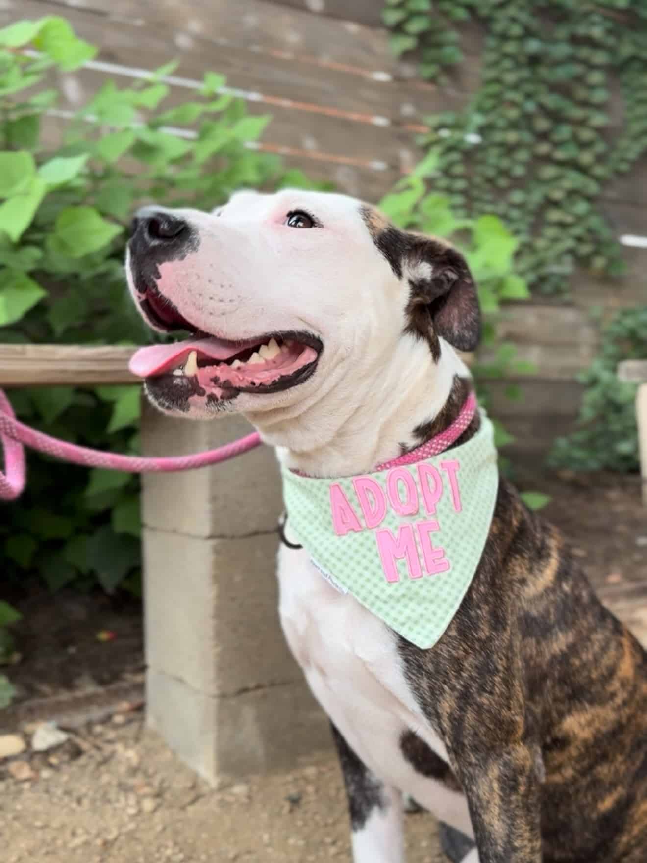 Extra image from article