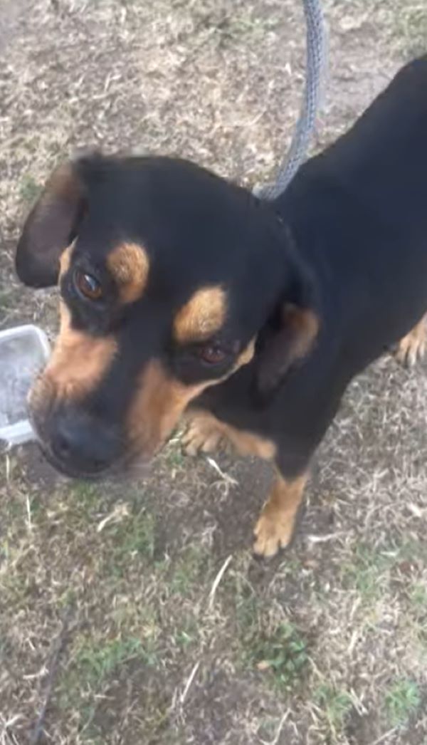 Extra image from article