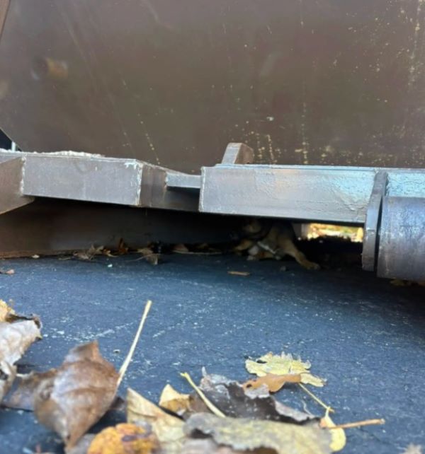 After a tense few moments, the dog final...