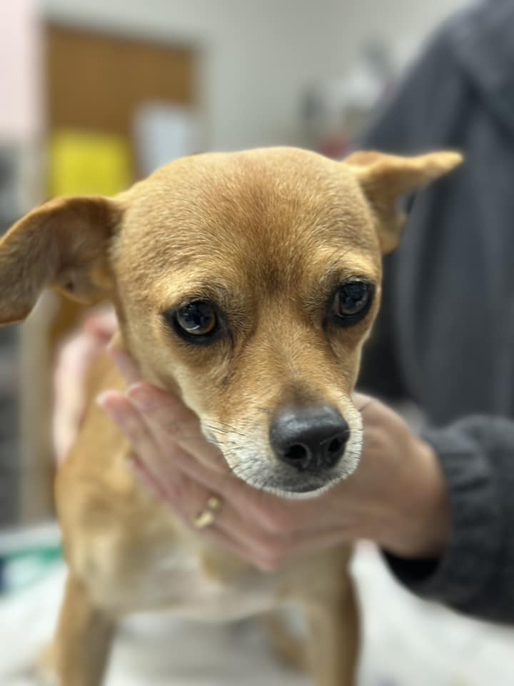 Extra image from article