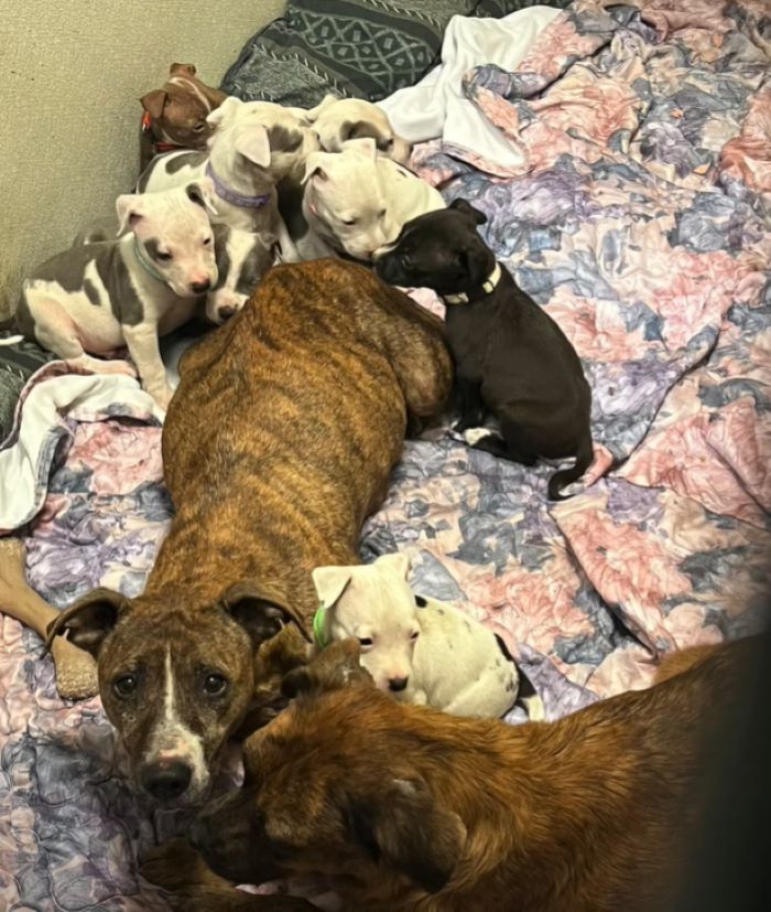 Extra image from article