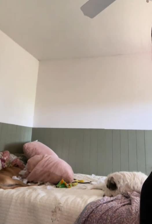 Extra image from article