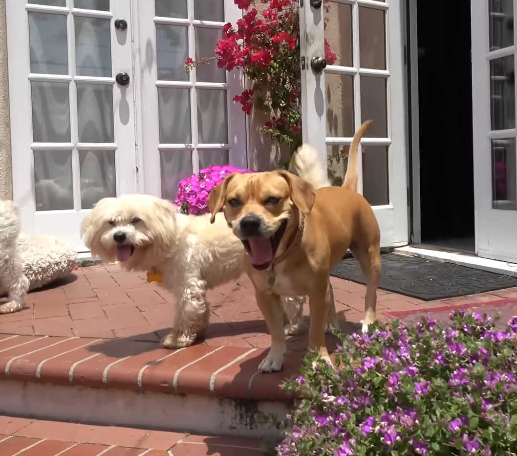 Extra image from article