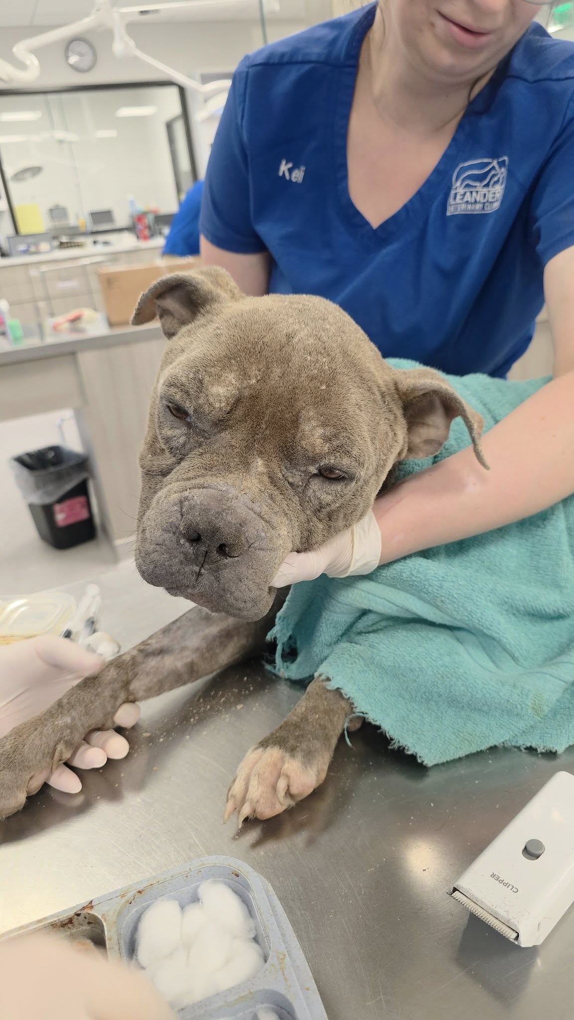 Extra image from article