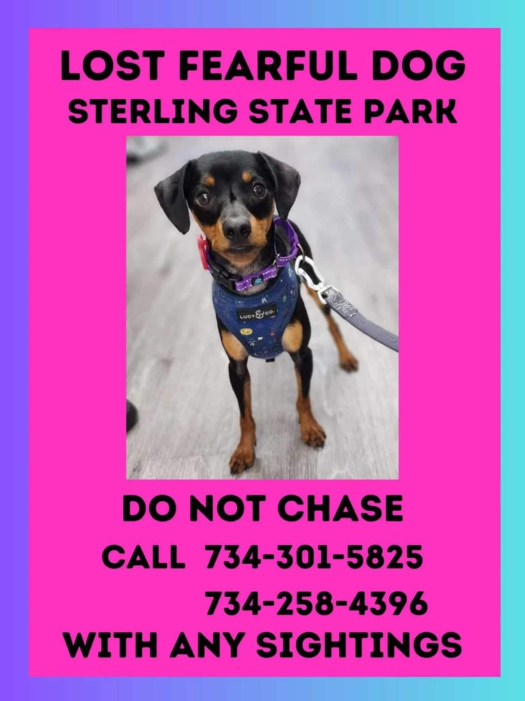 Extra image from article