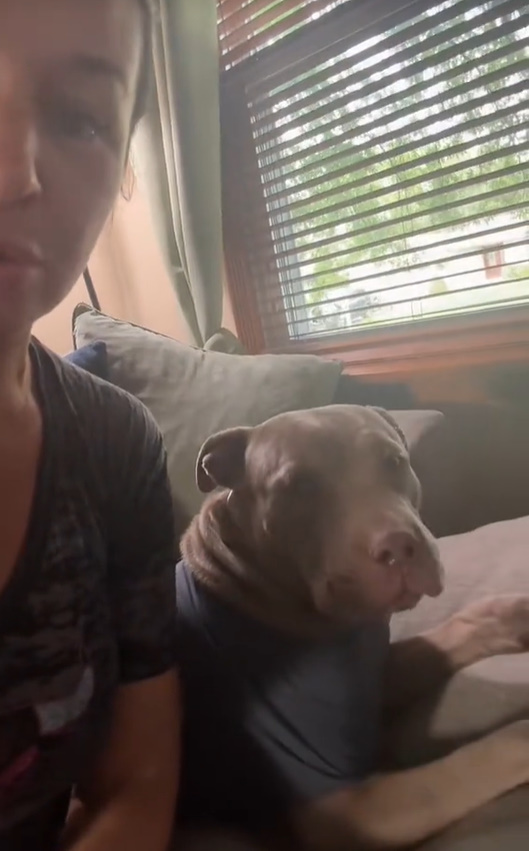 Extra image from article