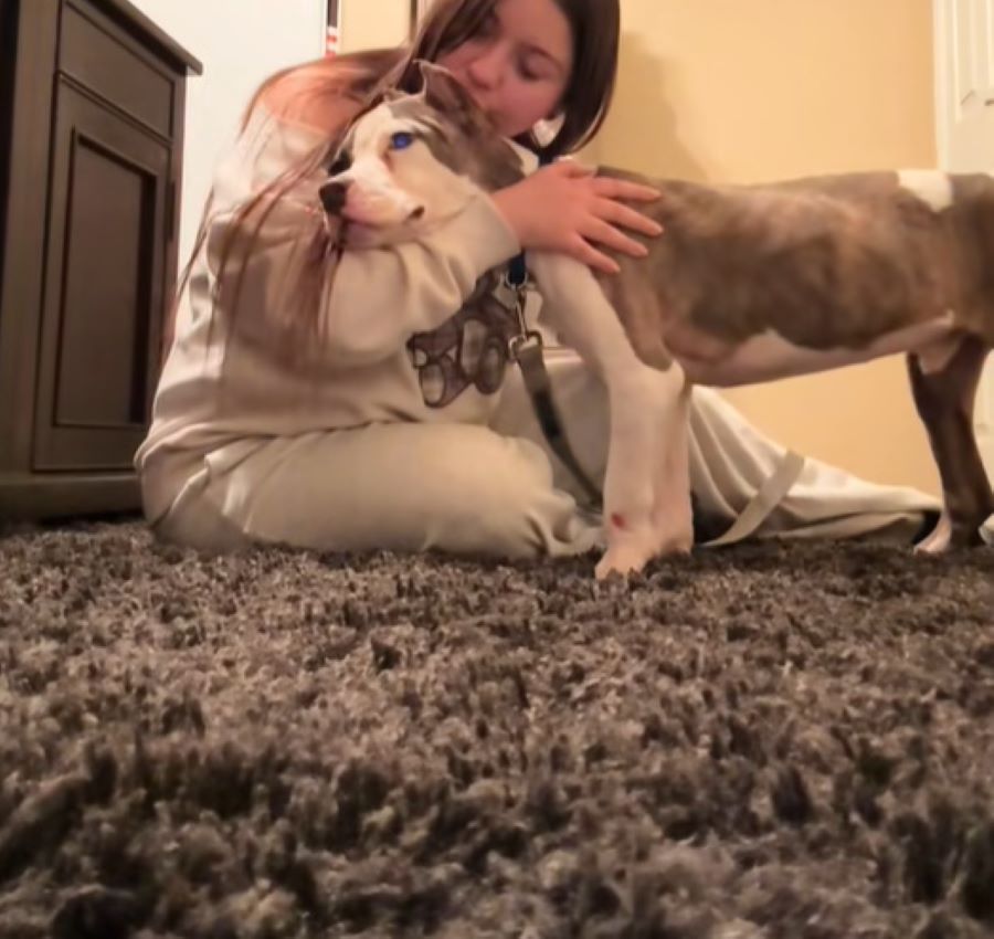 Extra image from article