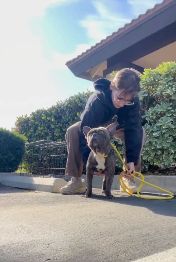 Extra image from article