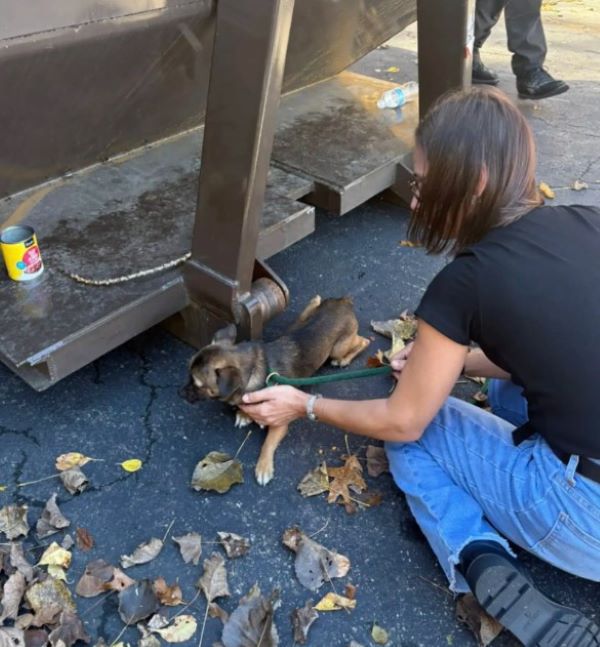 Extra image from article