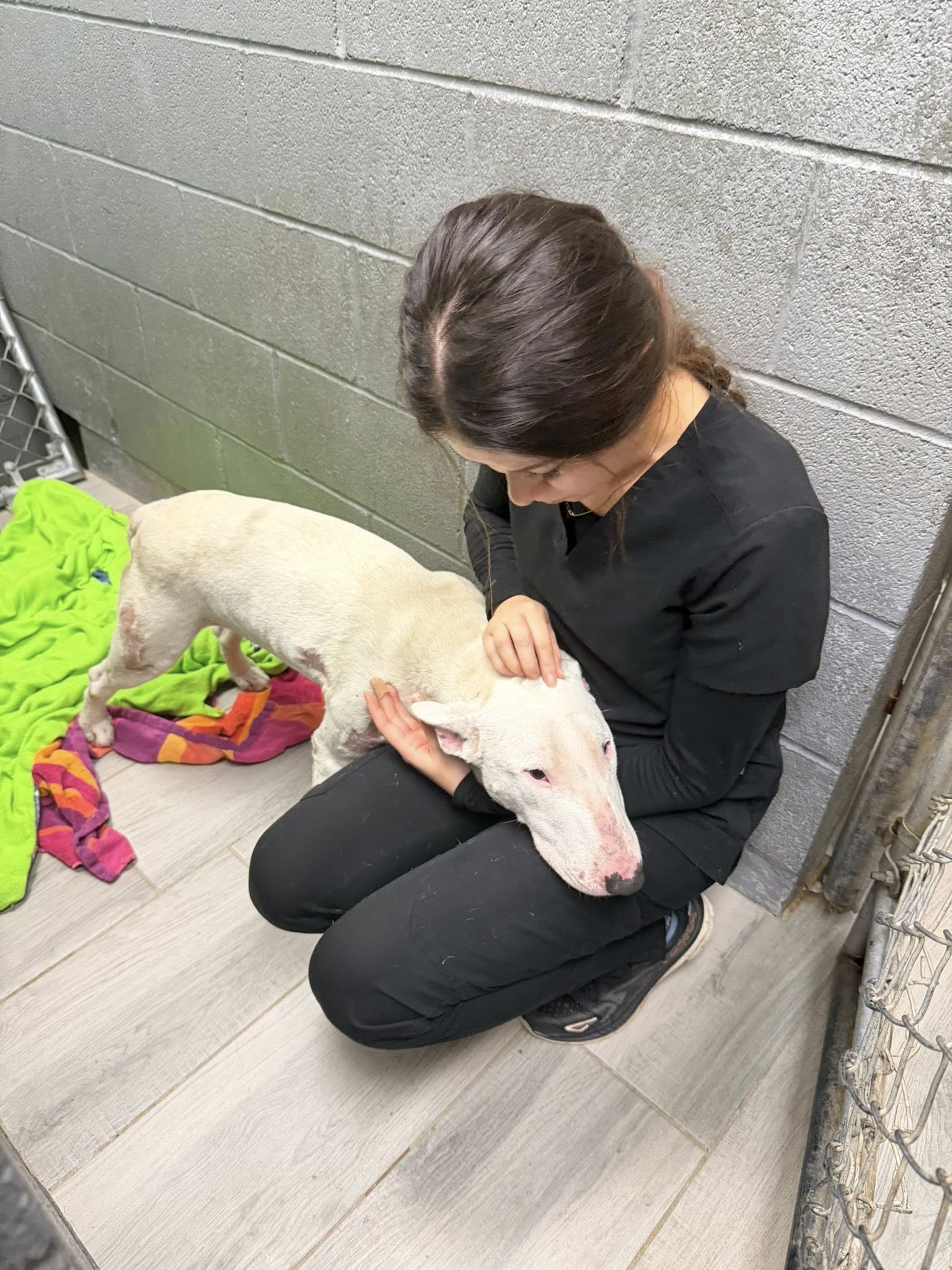 Extra image from article