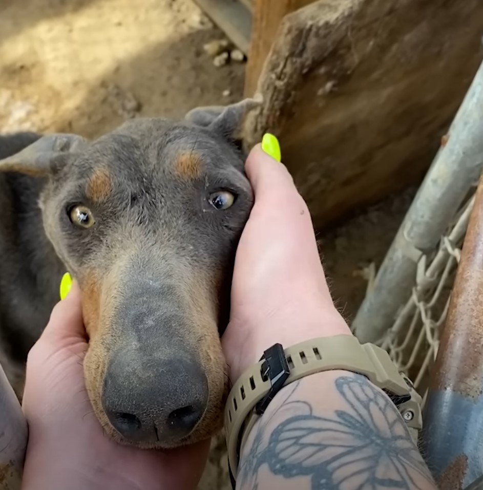 Chucky's confidence began to flourish wi...