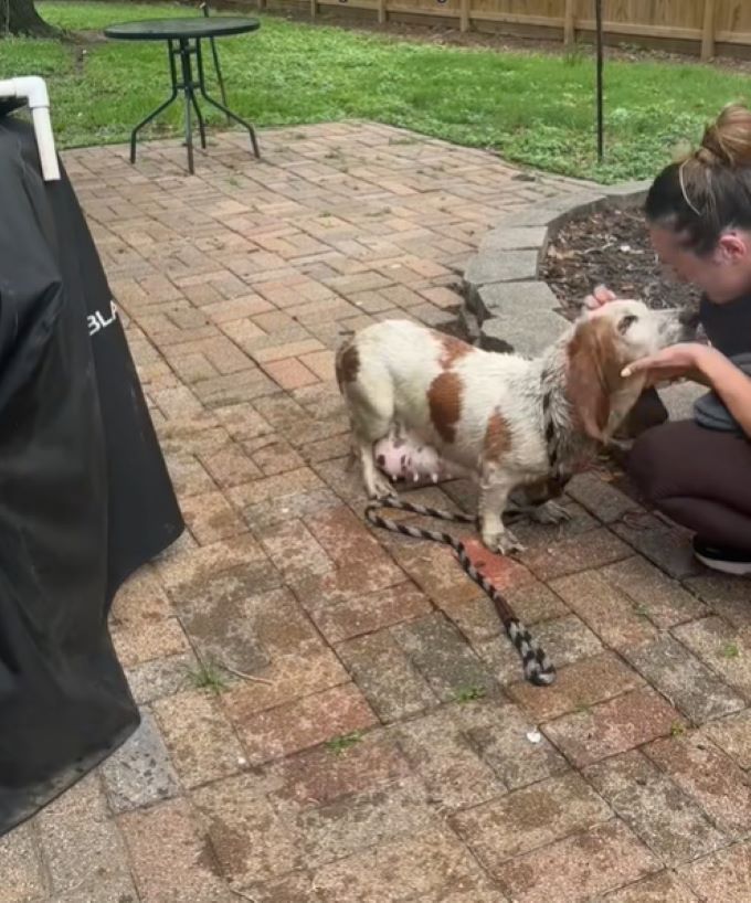 Extra image from article