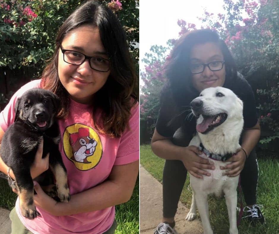 Extra image from article