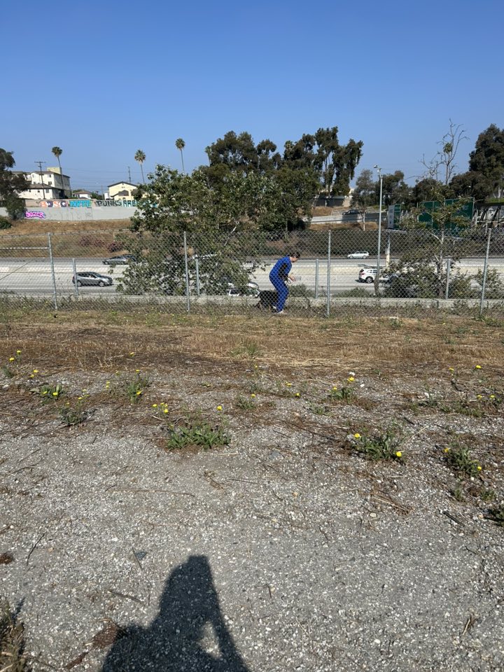 Extra image from article