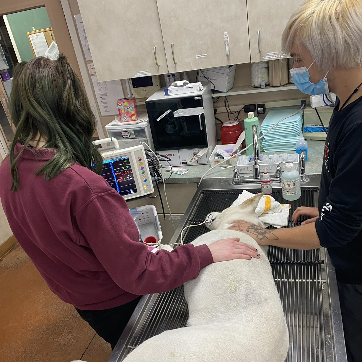 Extra image from article