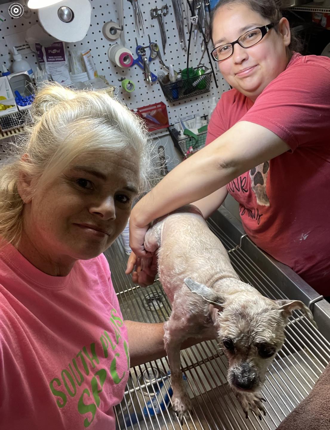 Extra image from article