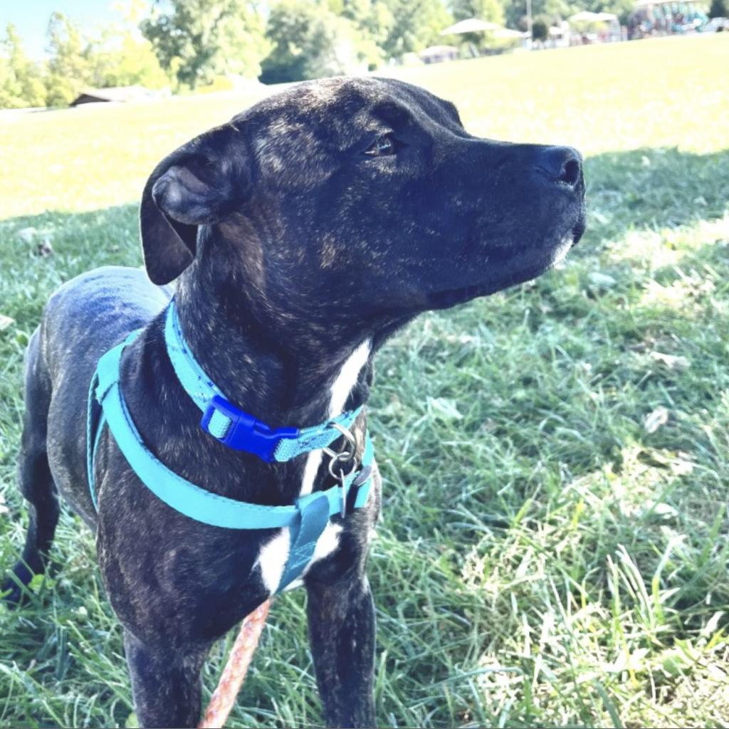 Extra image from article