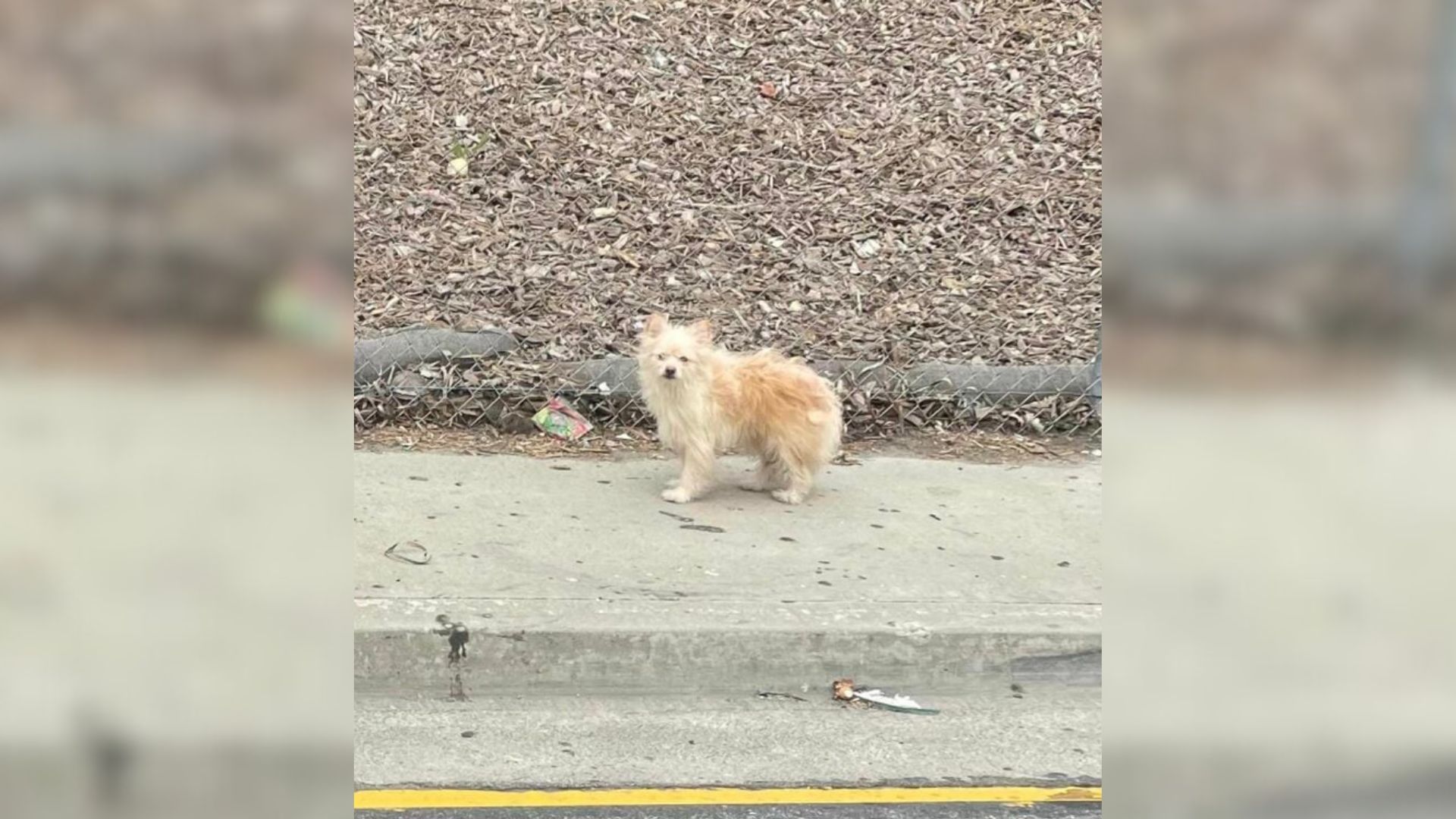 This harsh reality became all too real f...