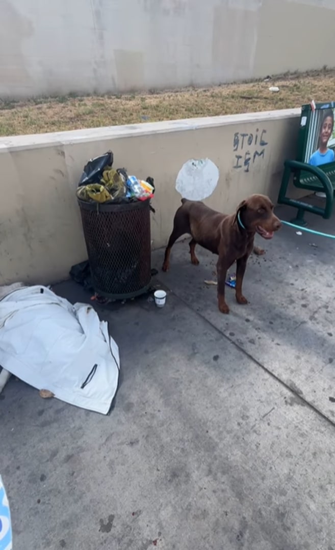 Extra image from article