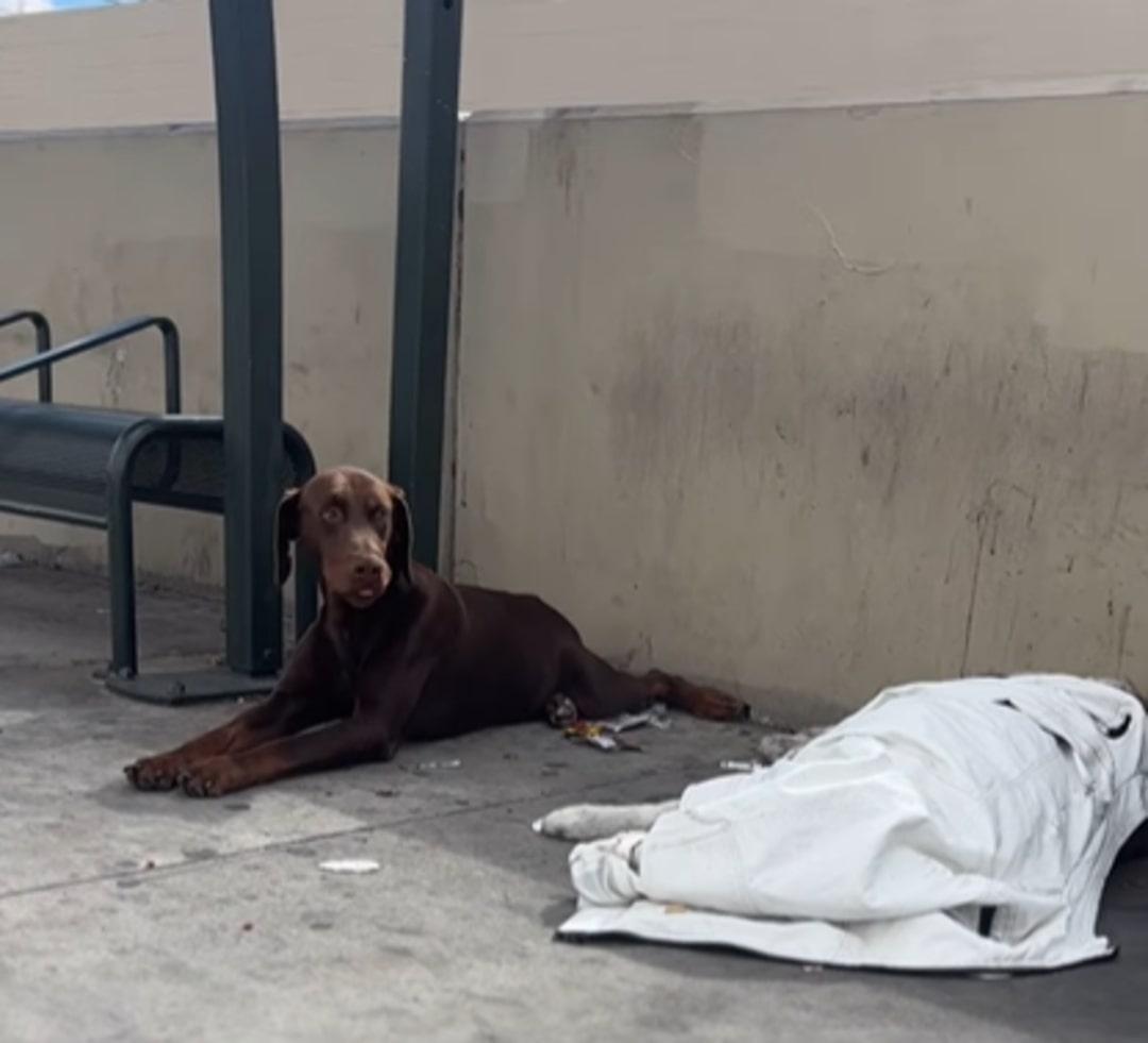 As Najee recovers, receiving care for hi...